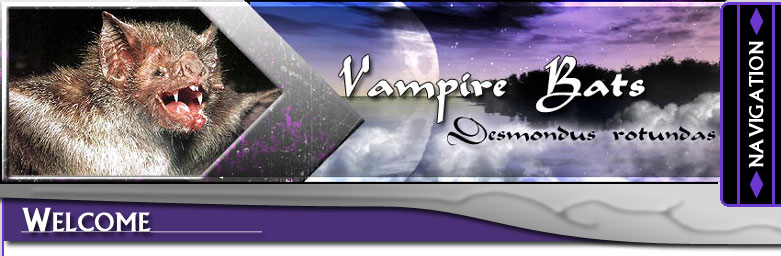Vampire Bats
